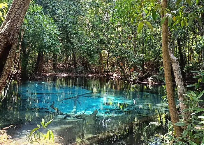 Brown Andaman Krabi